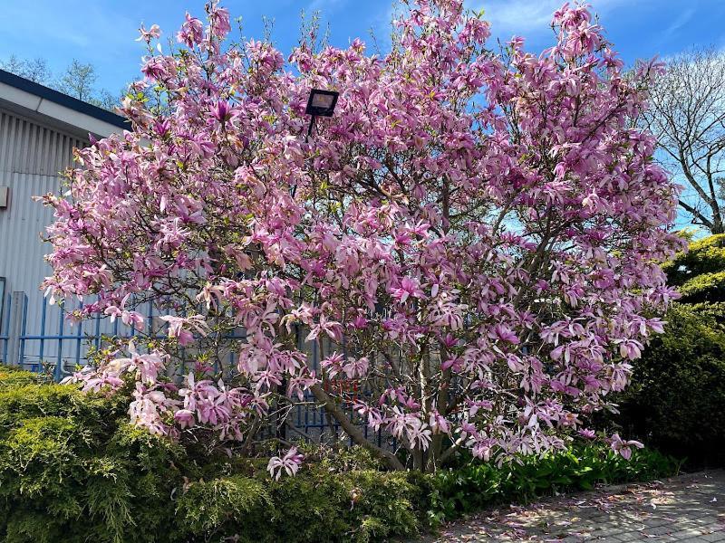 Obiekt "Czarny Rycerz" Aparthotel Jastrzębie Zdrój Exterior foto